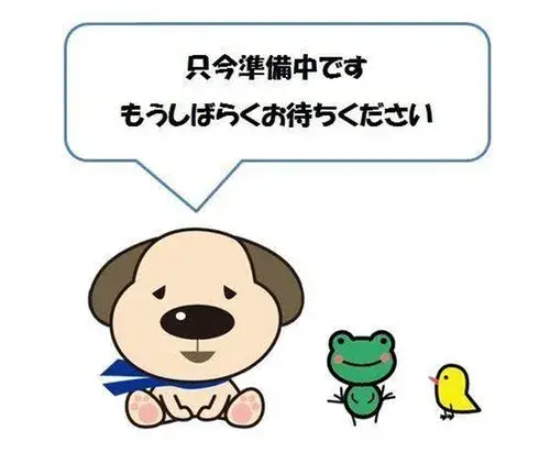 Slide 6