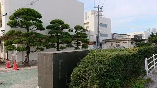 Slide 6