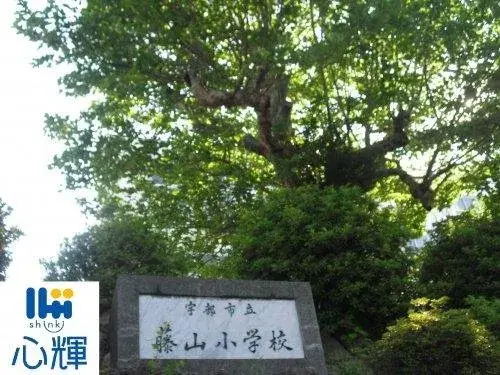 5LDK Property Ube City Yamaguchi Prefecture (12)