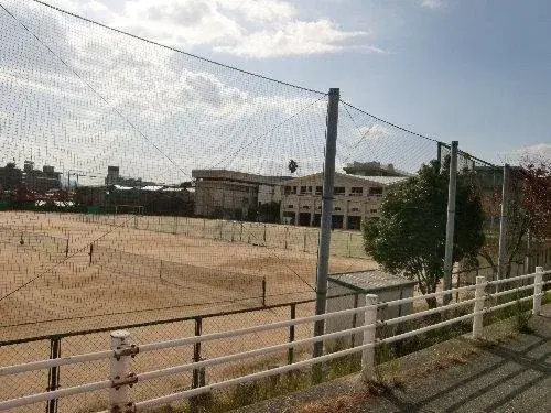 Slide 17