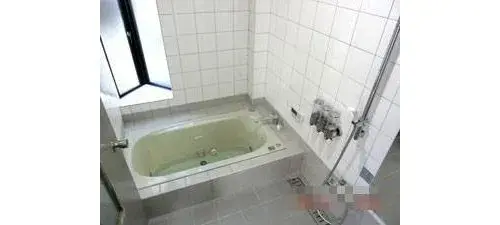 6LDK Property Kochi City Kochi Prefecture (14)