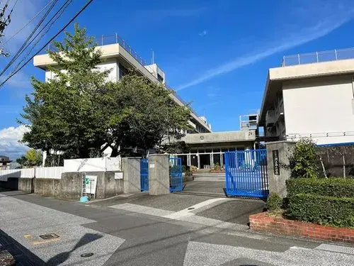 Slide 4