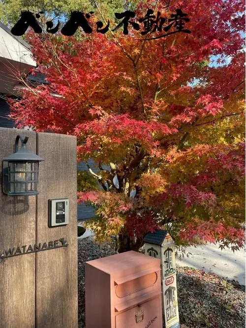 4LDK+S Property Munakata City Fukuoka Prefecture (22)