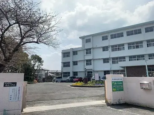 Slide 17