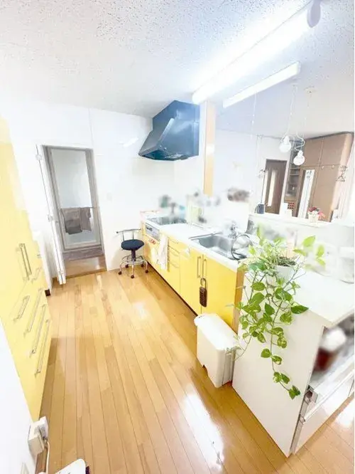 2LDK Property Kitakyushu City Fukuoka Prefecture (4)
