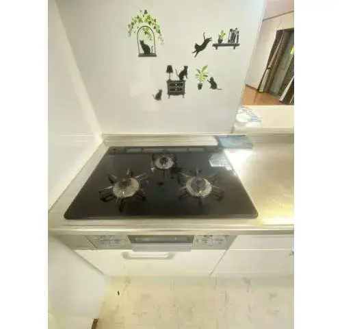 4LDK Property Kikuyo-machi, Kikuchi-gun Kumamoto Prefecture (14)