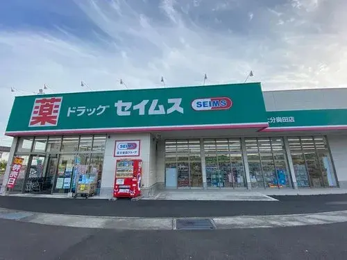 4LDK+S Property Oita City Oita Prefecture (17)