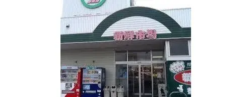 4LDK Property Oita City Oita Prefecture (20)