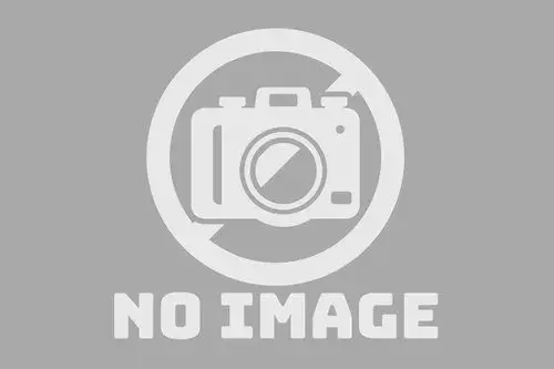 3LDK Property Oita City Oita Prefecture (16)