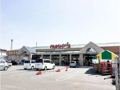 2LDK Property Nobeoka City Miyazaki Prefecture (19)