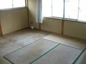 Slide 6