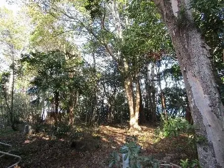 2LDK Property Kitsuki City Oita Prefecture (13)