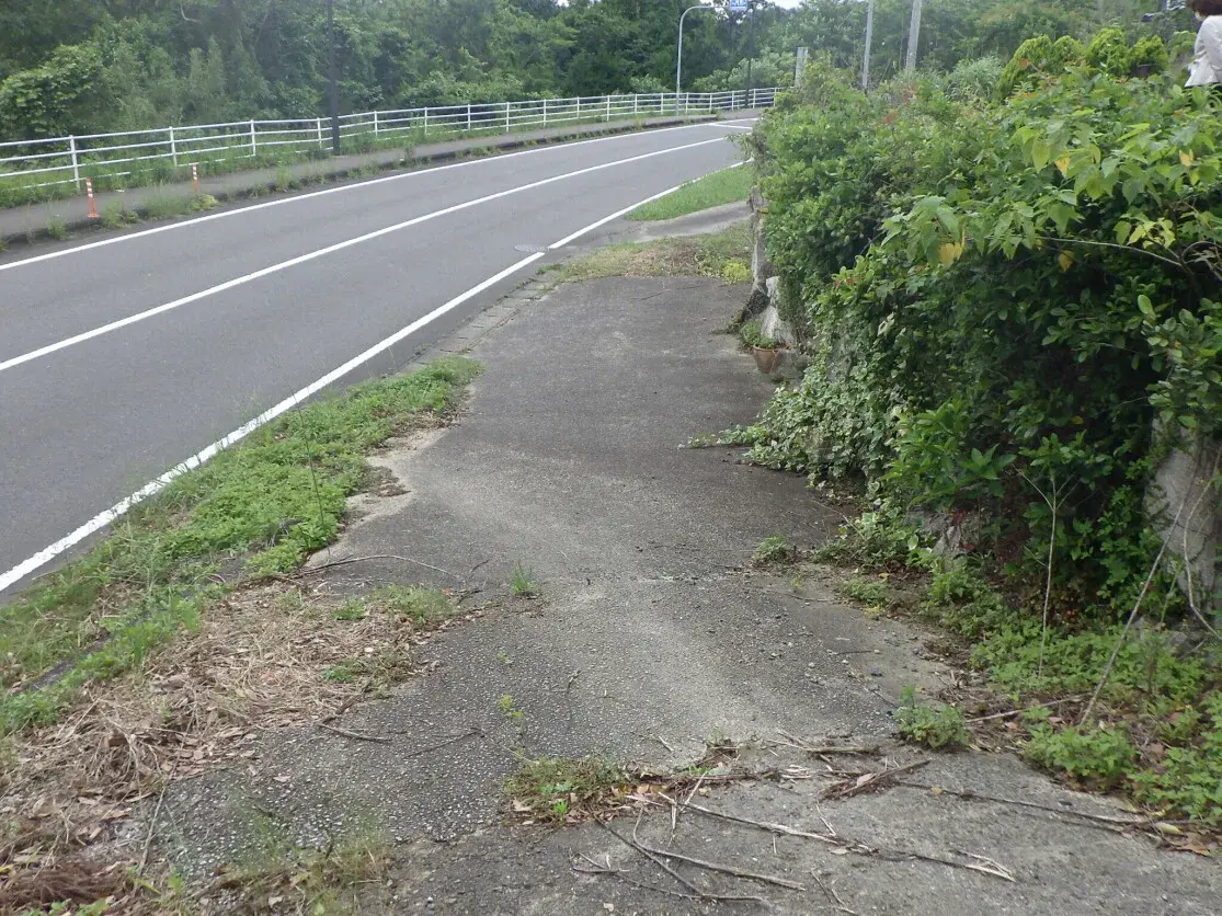 Land in Genkai-cho, Higashimatsuura-gun, Saga Prefecture (15)