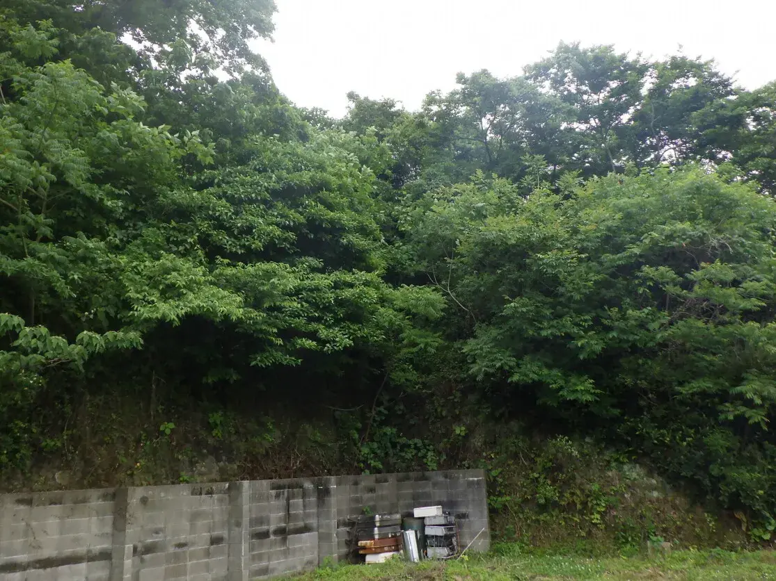 Land in Genkai-cho, Higashimatsuura-gun, Saga Prefecture (5)