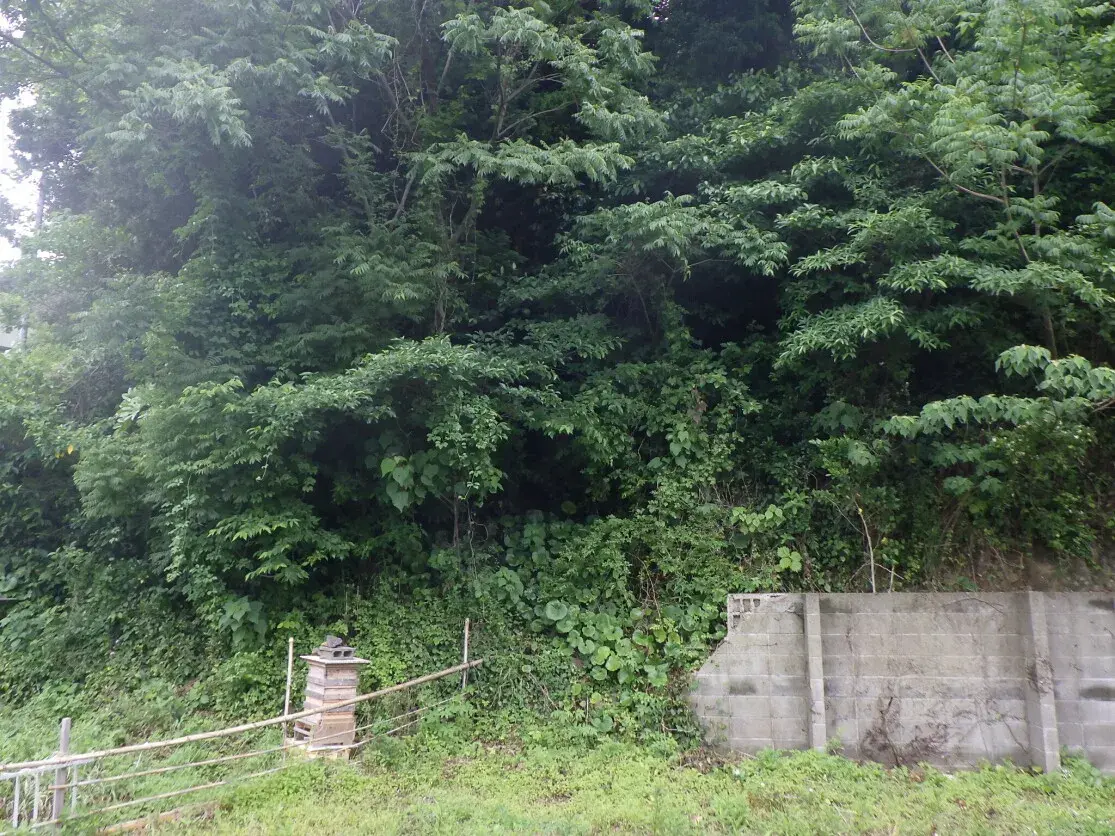 Land in Genkai-cho, Higashimatsuura-gun, Saga Prefecture (6)