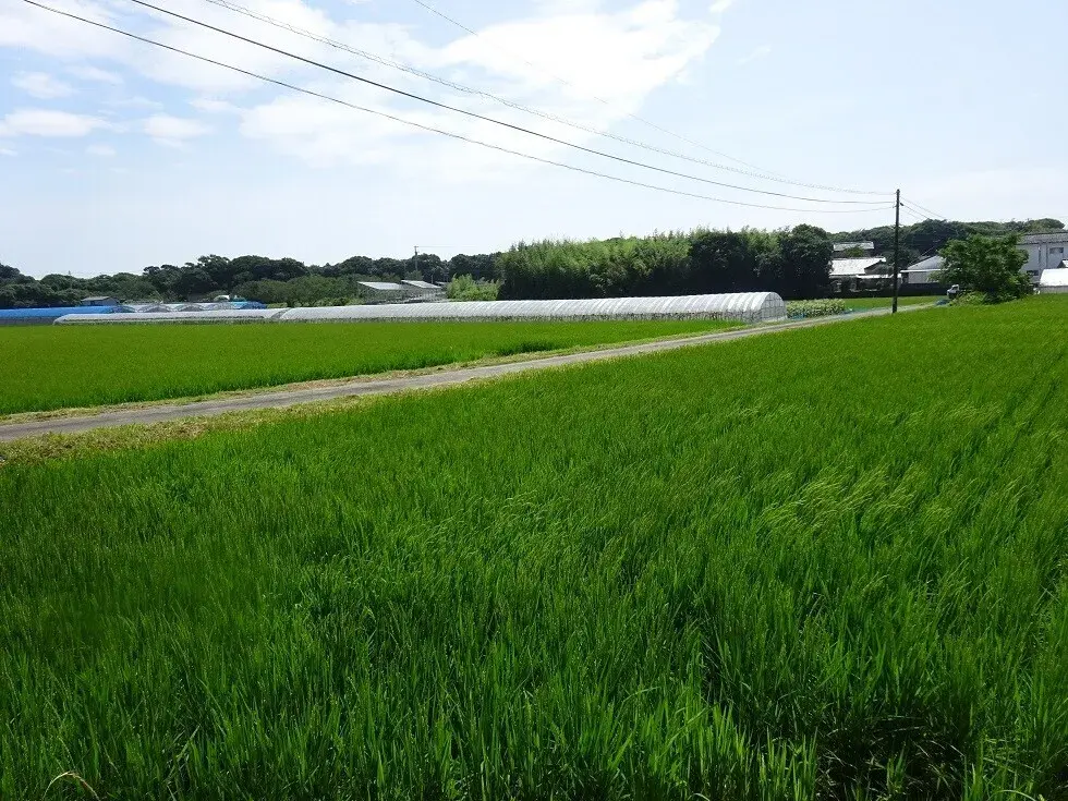 3DK Property Takanabe-cho, Koyu-gun Miyazaki Prefecture (10)