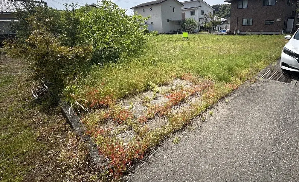 Miyazaki Prefecture Kadogawa Town Property (2)