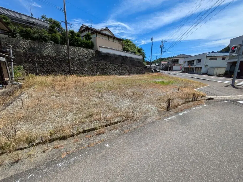 Tara Town Vacant House Property Saga (1)