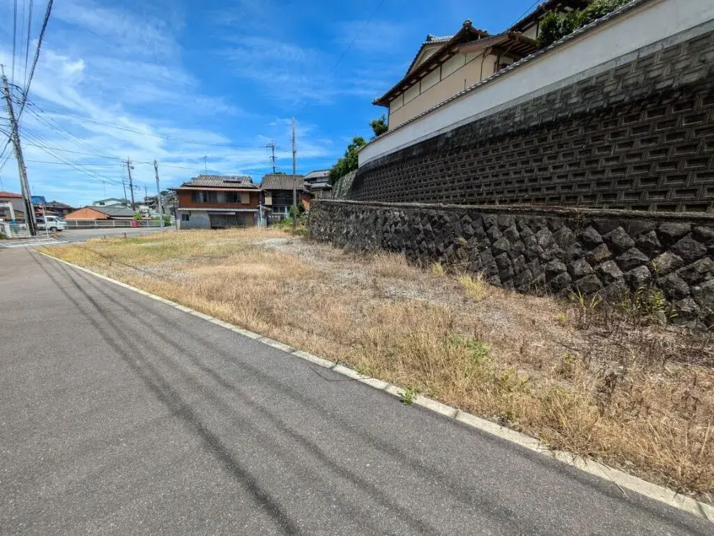 Tara Town Vacant House Property Saga (3)