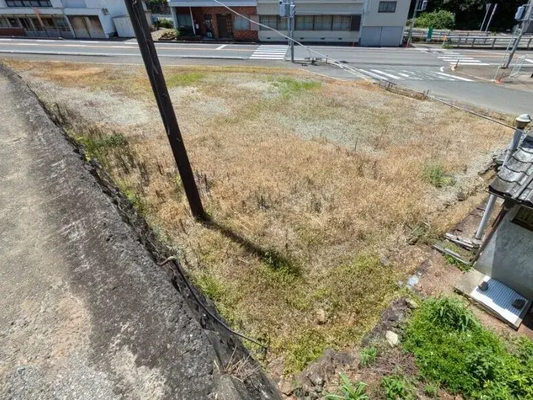 Tara Town Vacant House Property Saga (5)