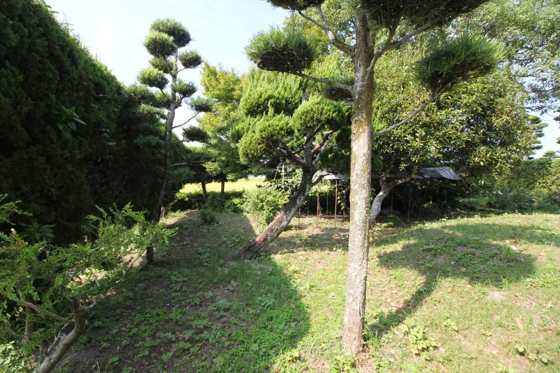 Slide 2