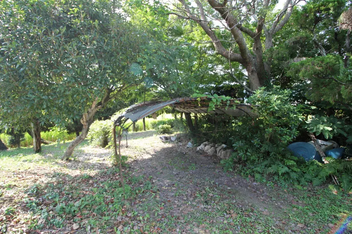 Slide 4