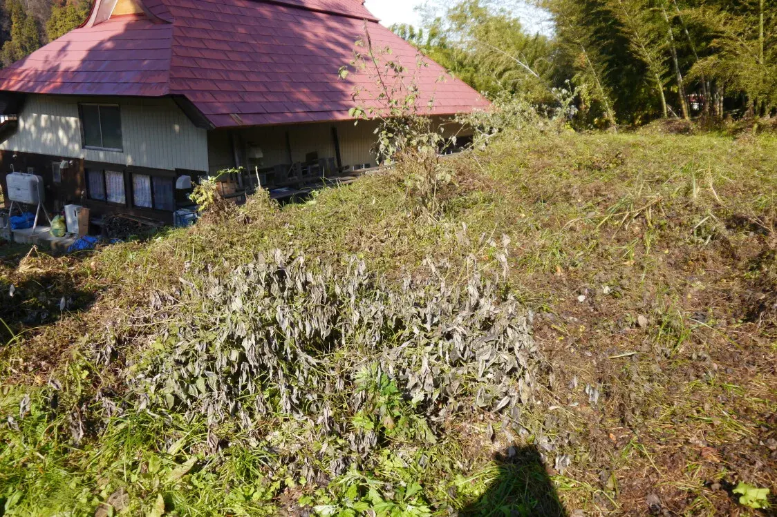3DK Property Oonuma-gun Mishima-machi Fukushima Prefecture (3)