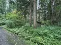 Vacant House Property Iizuna-machi Nagano Prefecture (1)
