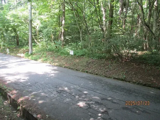 Nagano Prefecture Iizuna Town Property (1)