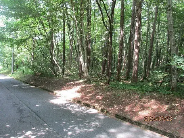 Nagano Prefecture Iizuna Town Property (4)