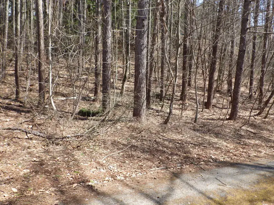 Nagano Prefecture Iizuna Town Land Property (1)