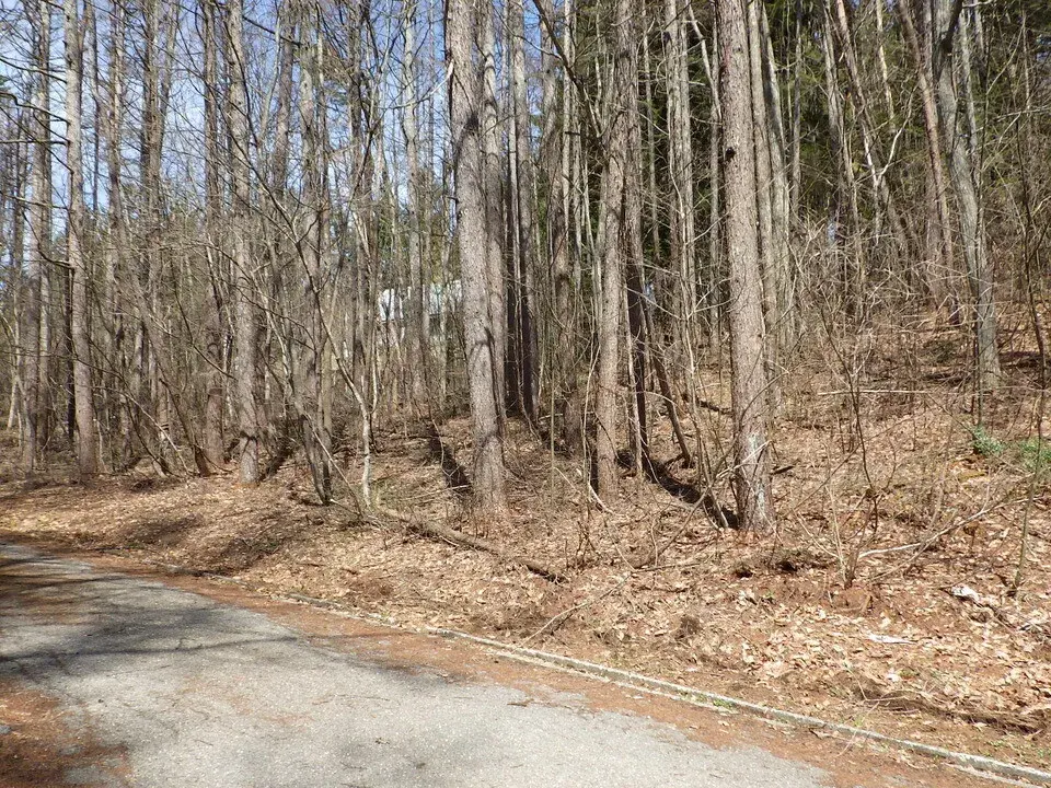 Nagano Prefecture Iizuna Town Land Property (2)