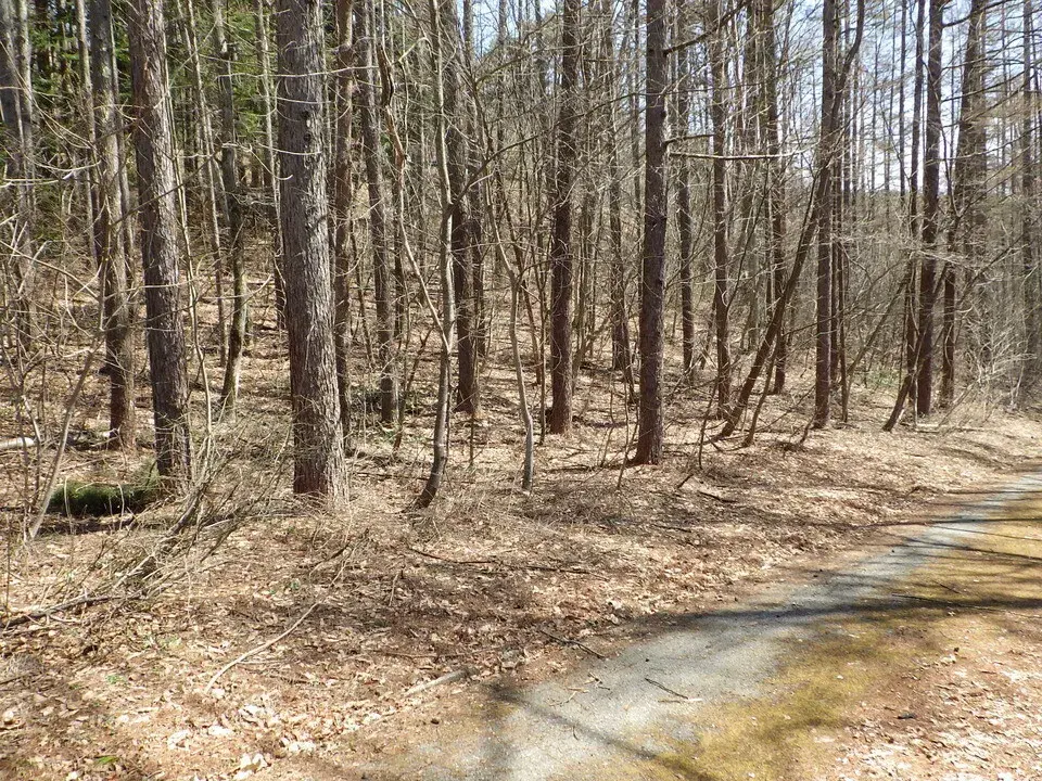 Nagano Prefecture Iizuna Town Land Property (3)