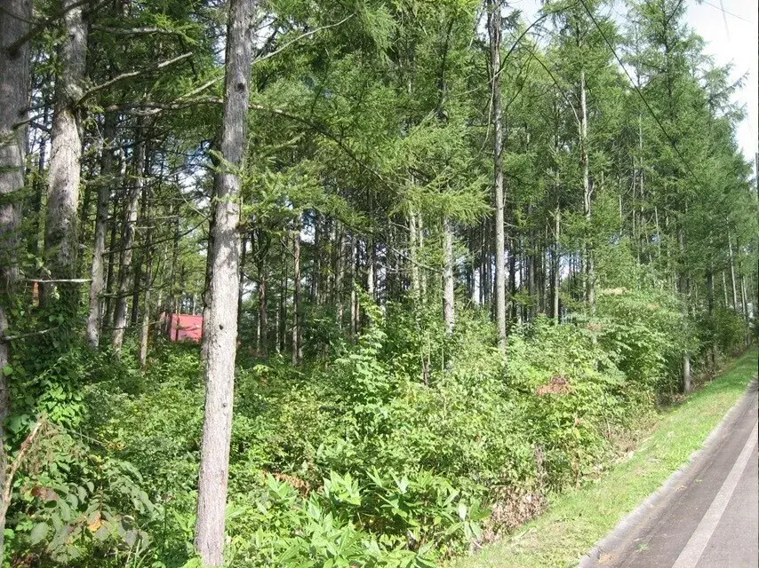 Vacant House Property Iizuna-machi Nagano Prefecture (1)