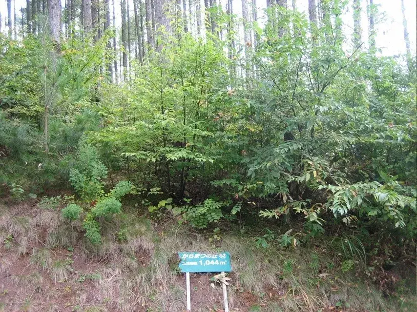 Vacant House Property Iizuna-machi Nagano Prefecture (1)