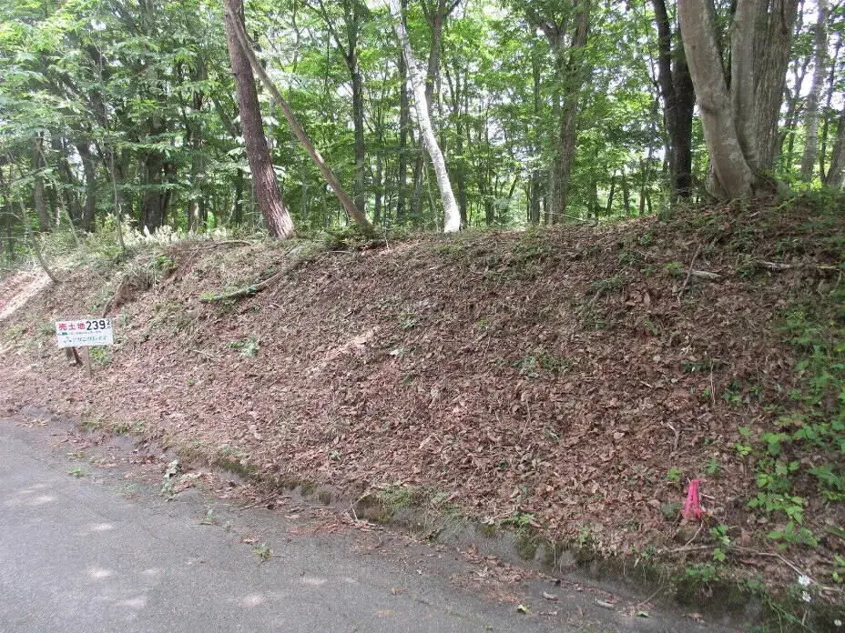 Nagano Prefecture Iizuna-machi Akiya Property (8)