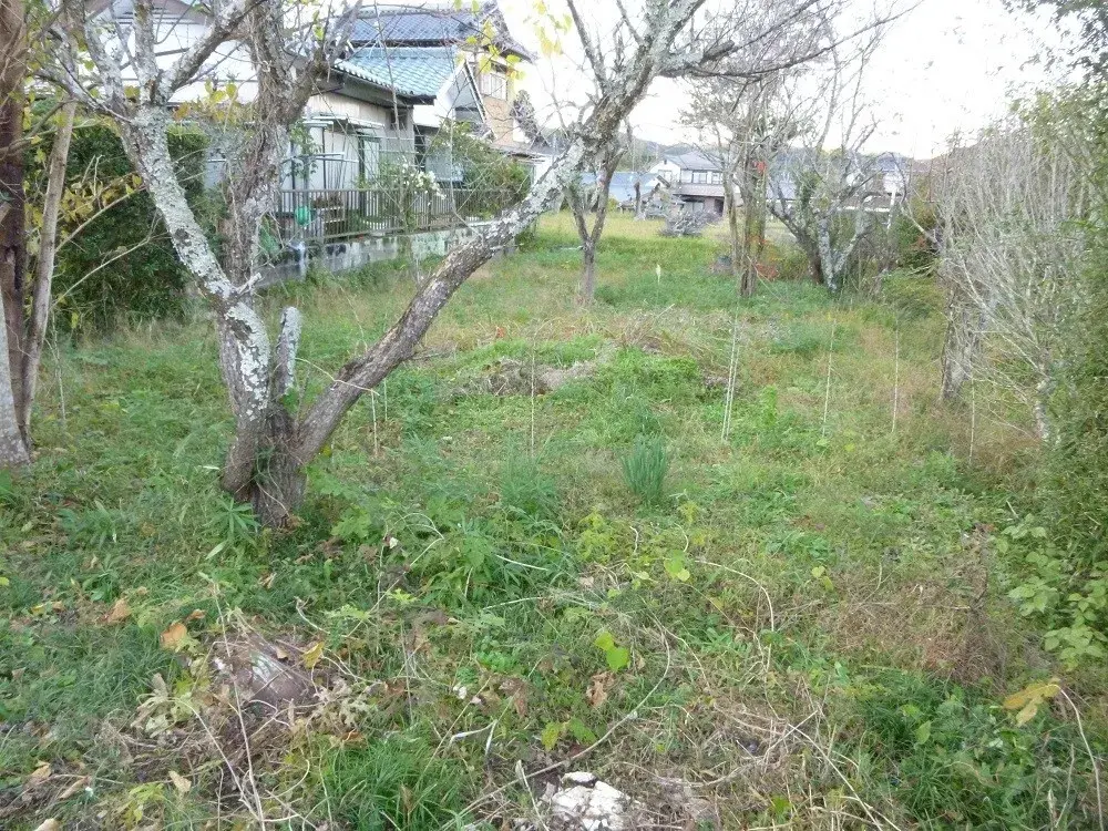 Property in Otaki-machi, Chiba Prefecture (6)