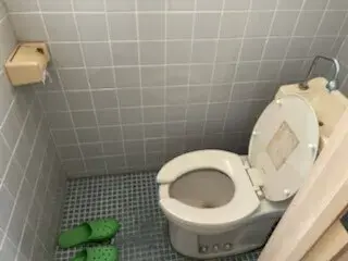Slide 5