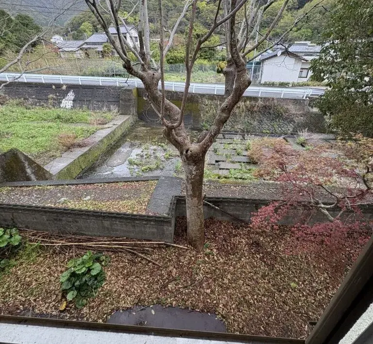 5SLDK Saiki City Oita Prefecture (22)
