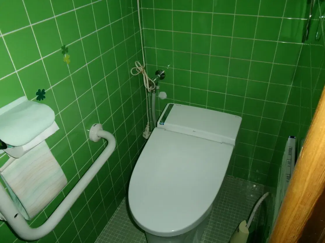 10DK Property Sayo-cho Hyogo Prefecture (12)