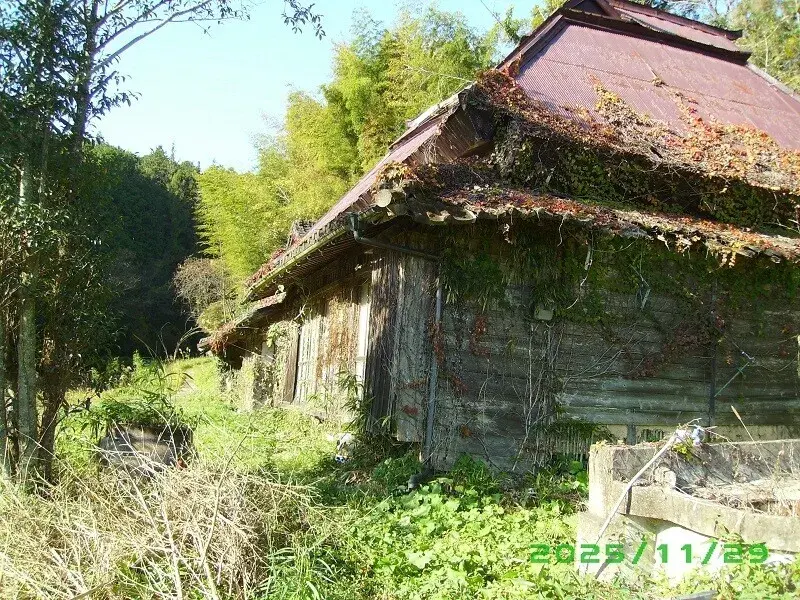Slide 4