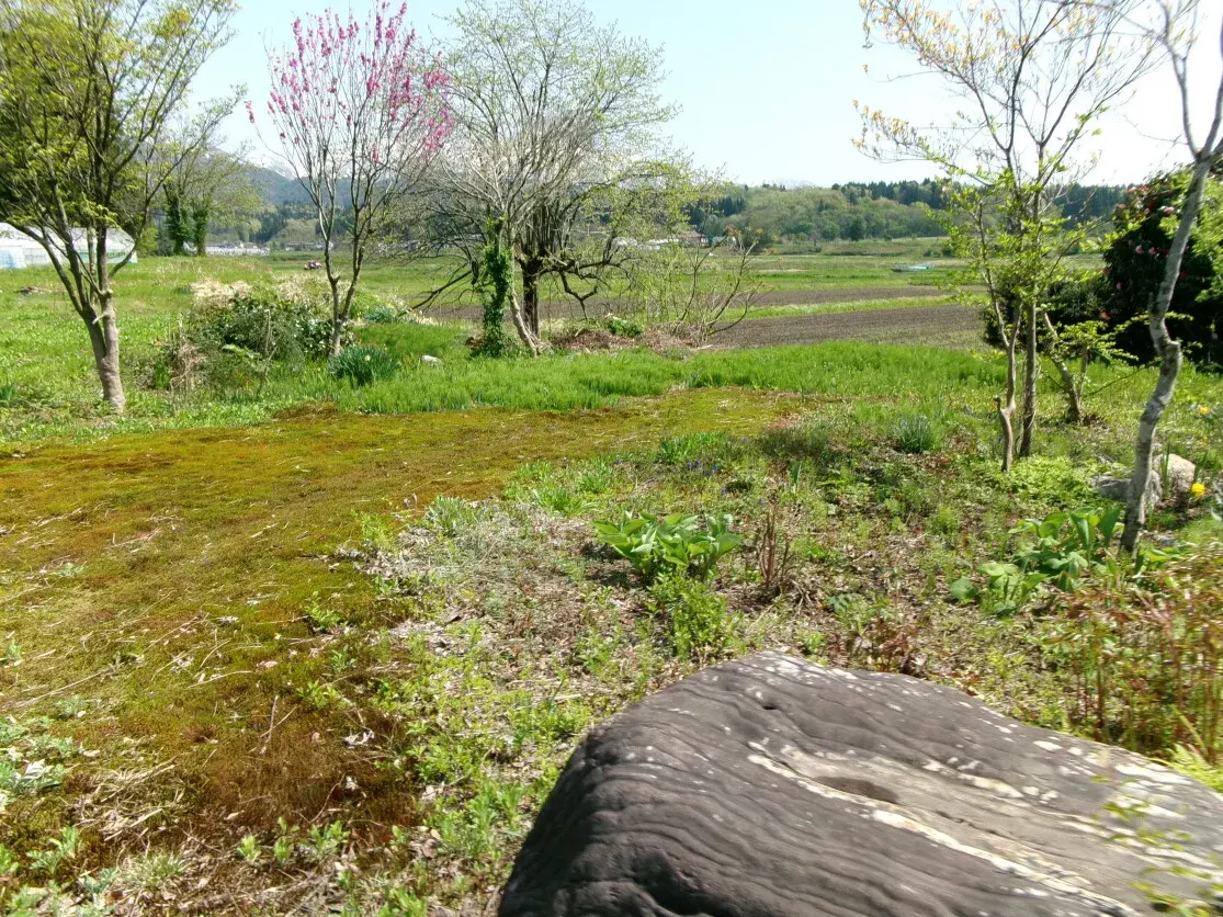 8DK Shibata City Niigata Prefecture (17)