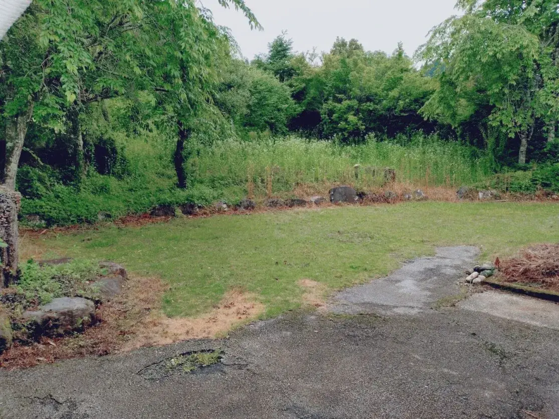 13K Property Saiki City Oita Prefecture (16)