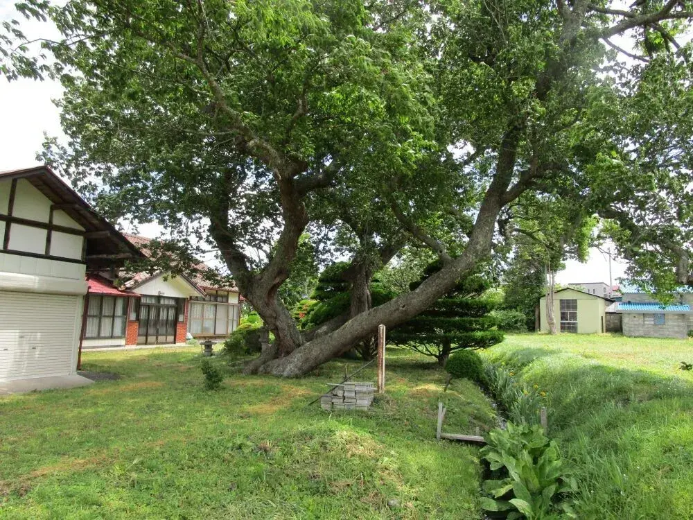 12DK Tono City Iwate Prefecture (2)