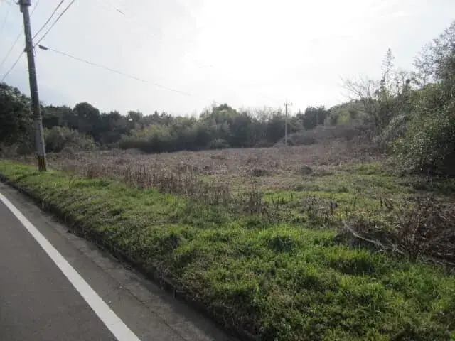Slide 0