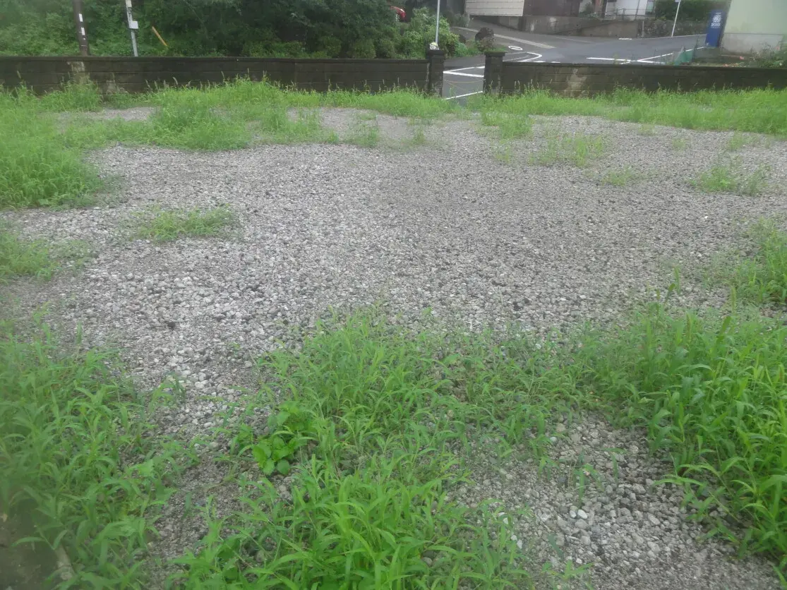 Slide 0