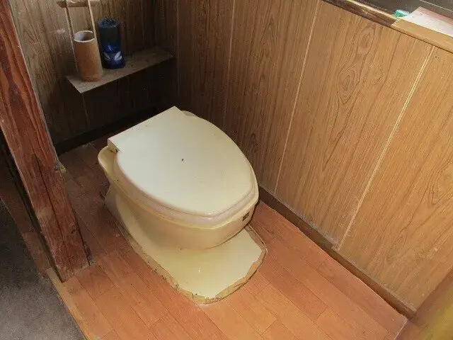 Slide 8