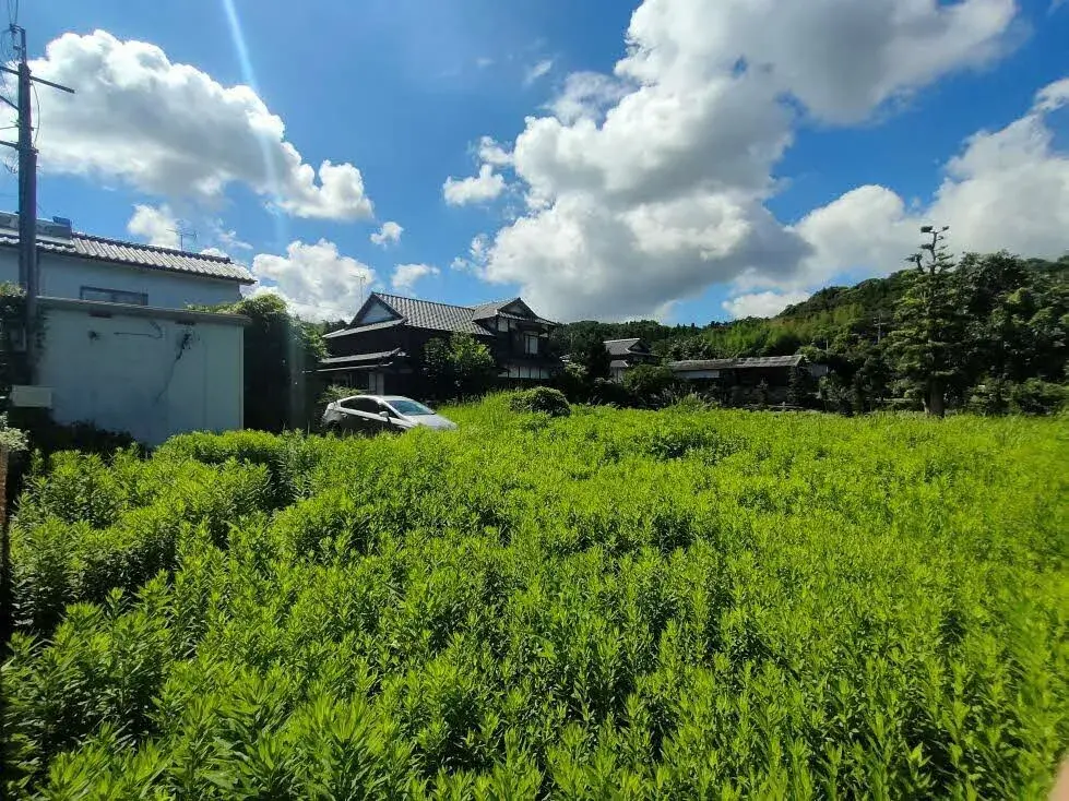 Slide 1