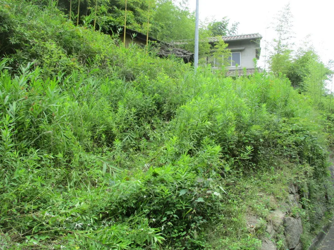 Detached House Kasaoka City Okayama Prefecture (1)