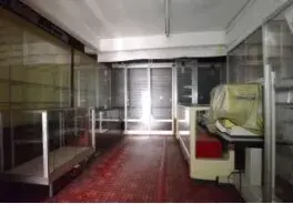 Slide 5